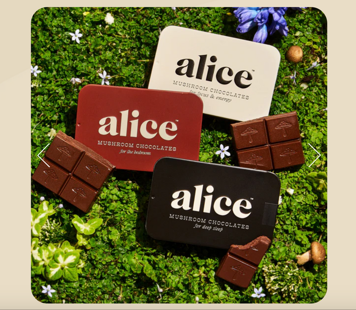 Alice Mushroom Chocolate Supplements