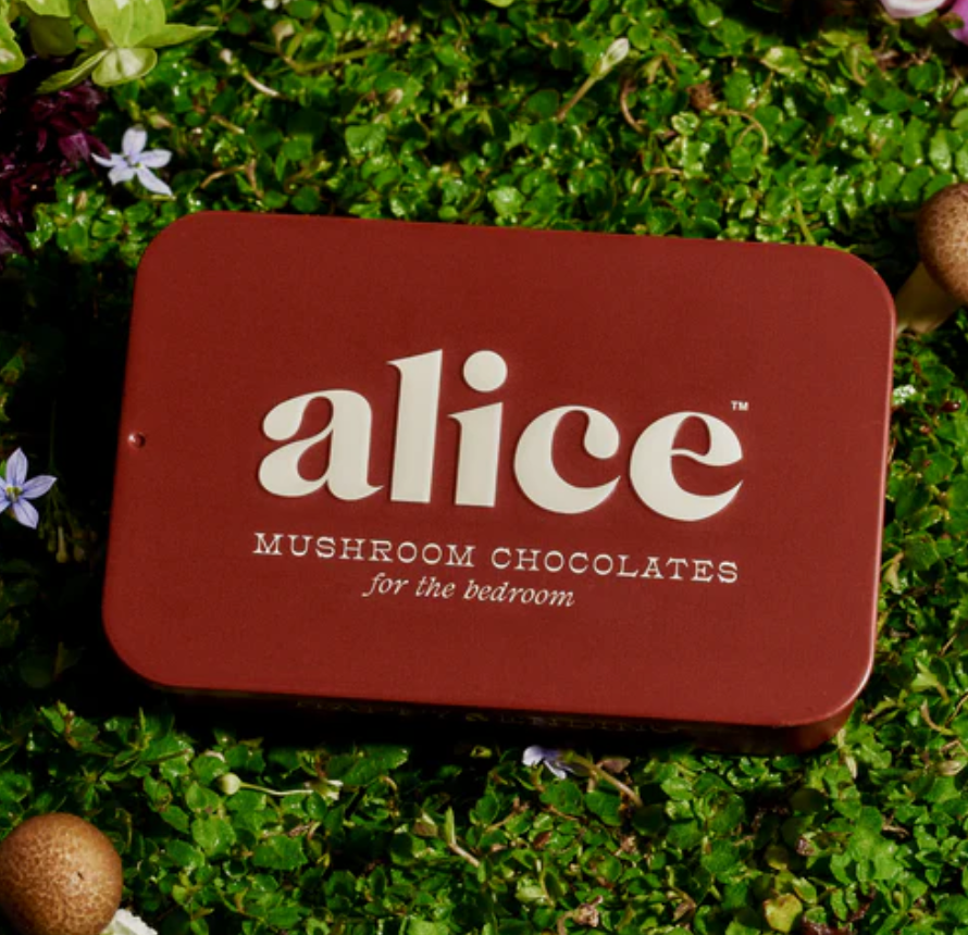 Alice Mushroom Chocolate Supplements
