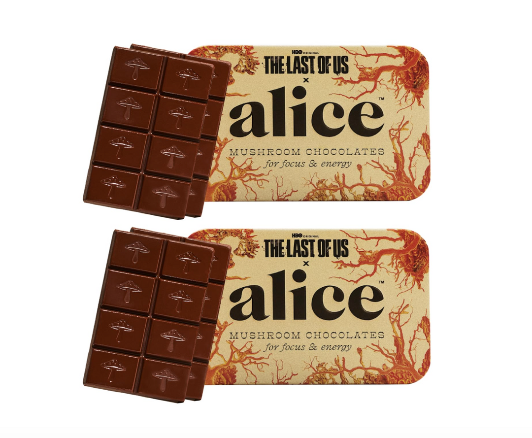Alice Mushroom Chocolate Supplements