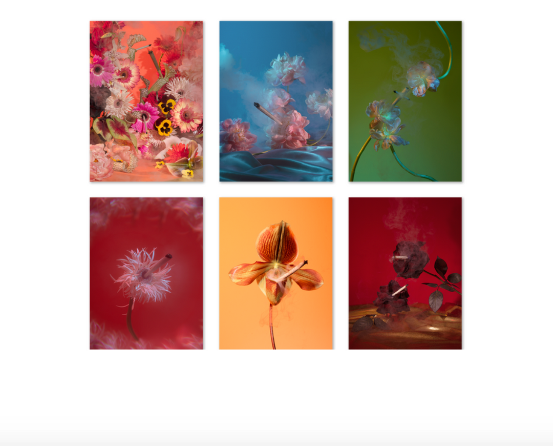 Smoking Flowers Postcard Print Set