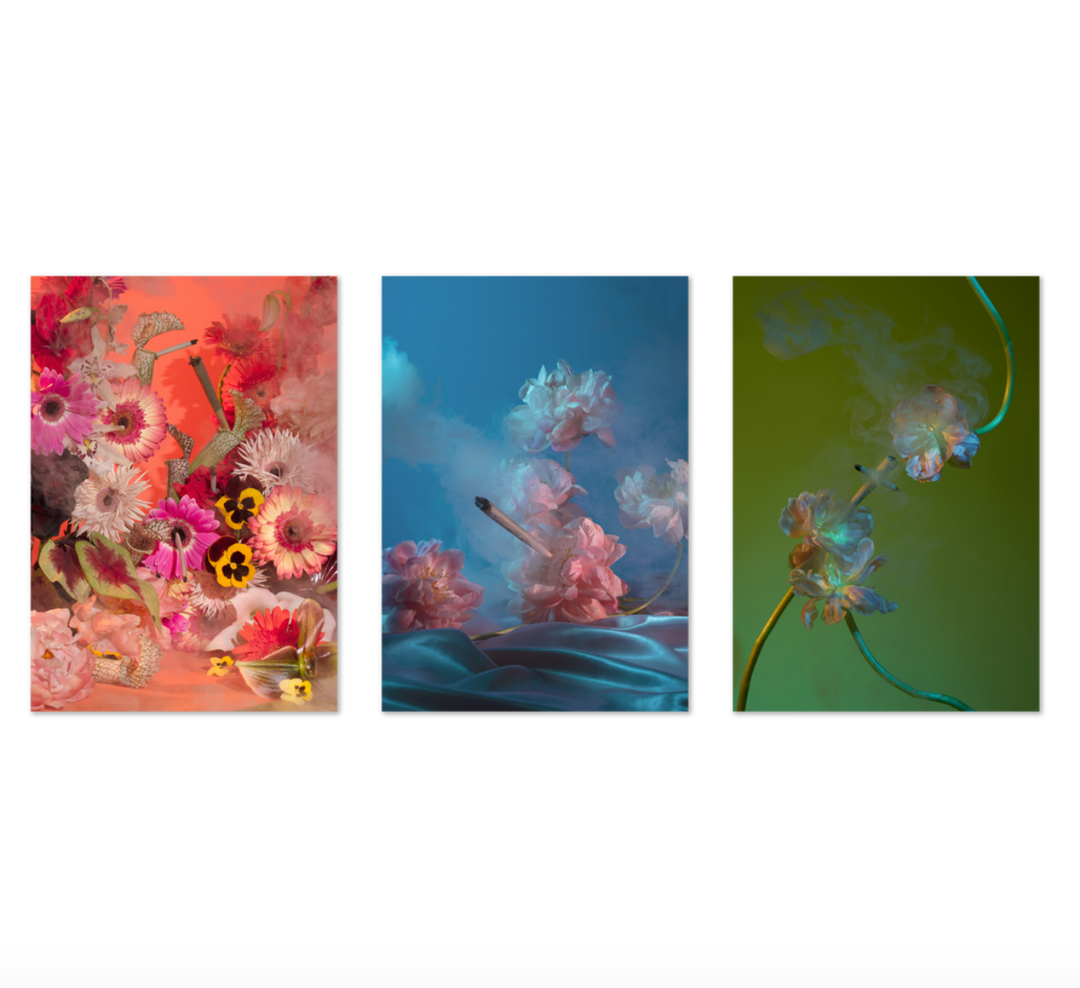 Smoking Flowers Postcard Print Set